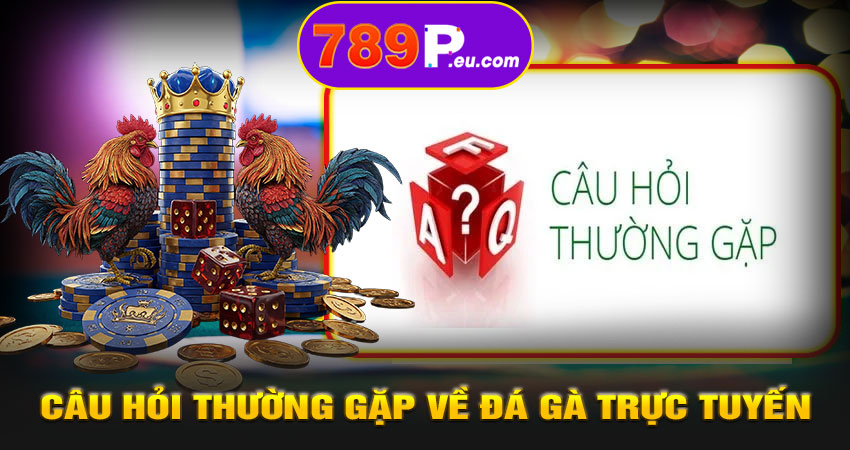 Câu hỏi thường gặp về đá gà trực tuyến 789P