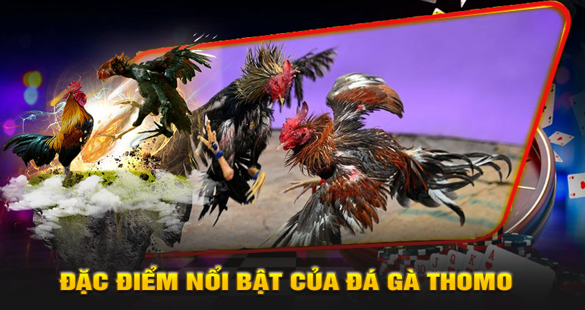 Đặc điểm nổi bật của đá gà Thomo