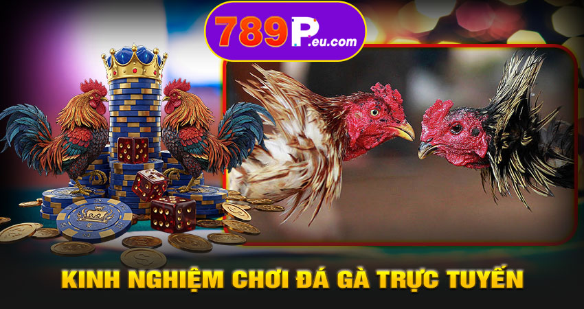 Kinh nghiệm chơi đá gà trực tuyến 789P hiệu quả