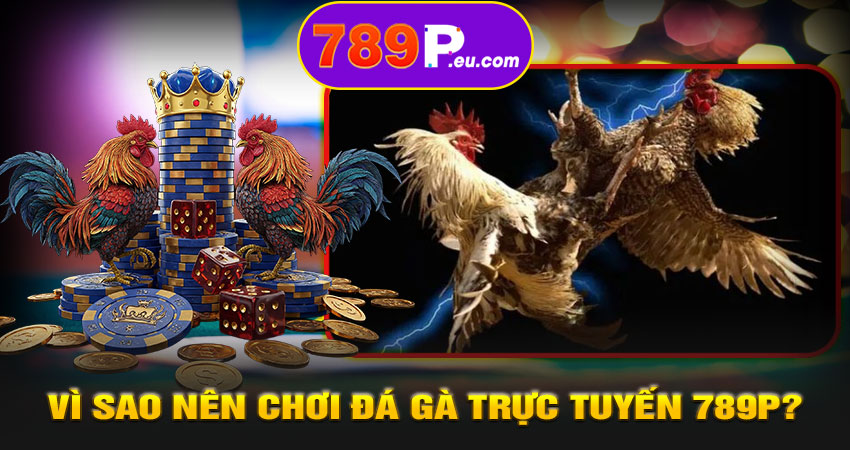 Vì sao nên chơi Đá Gà Trực Tuyến 789P?