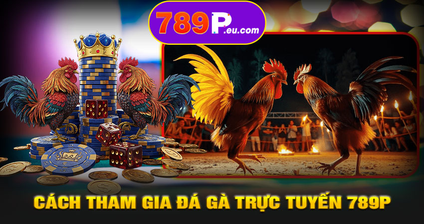 Hướng dẫn cách tham gia đá gà trực tuyến 789P